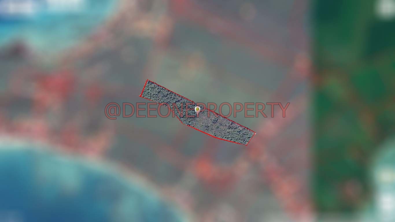 Massive Land in Center Island for Sale Koh Mak island