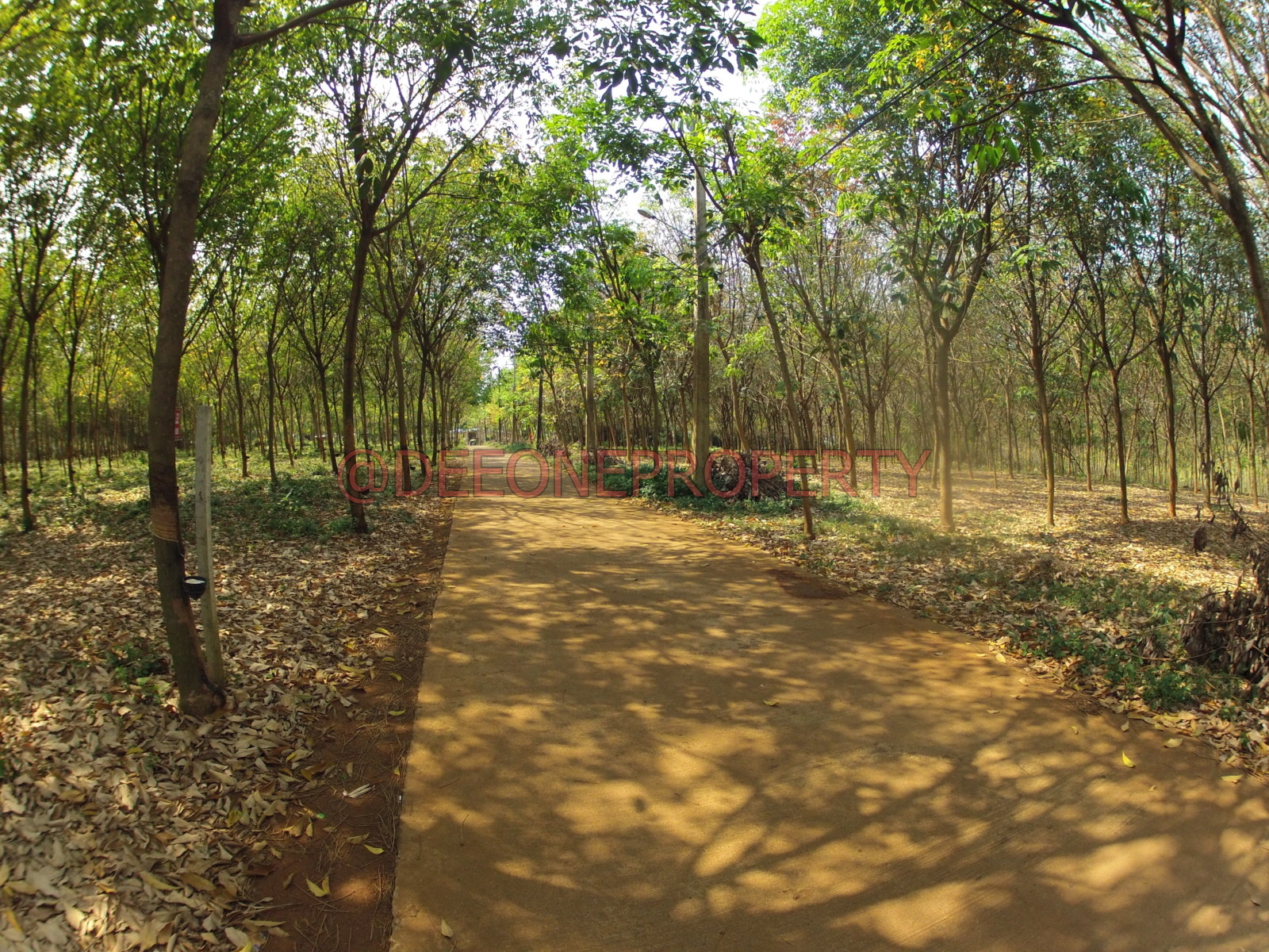 5 Pieces of 1 Rai in Center Island for Sale Koh Mak
