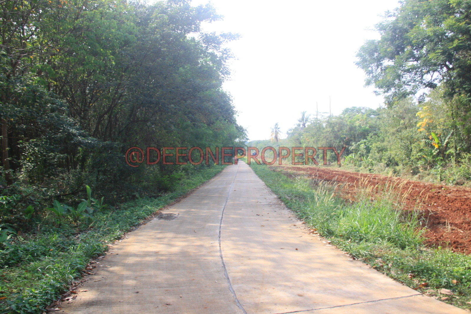 Massive Land in Center Island for Sale Koh Mak island