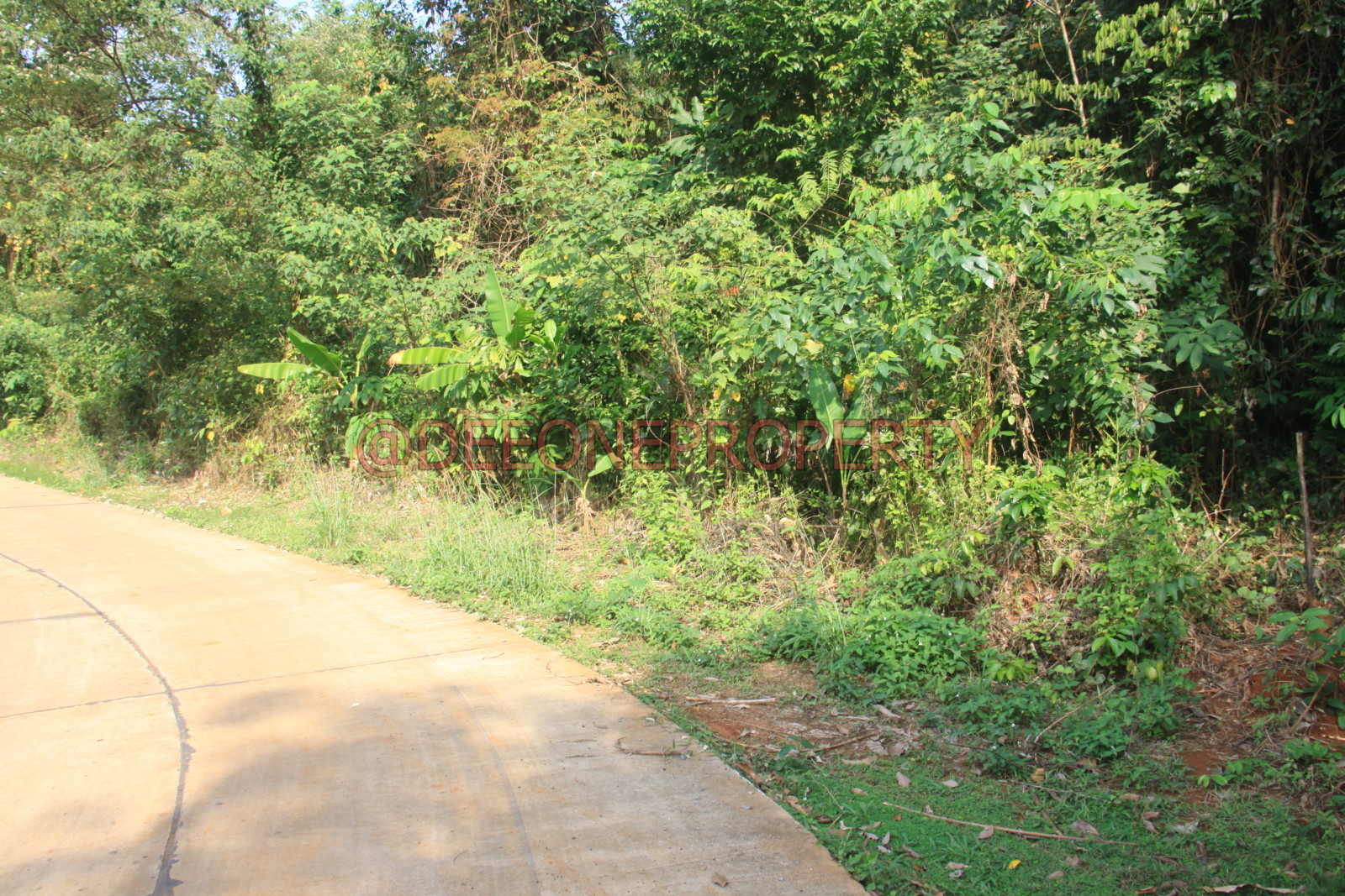 Massive Land in Center Island for Sale Koh Mak island