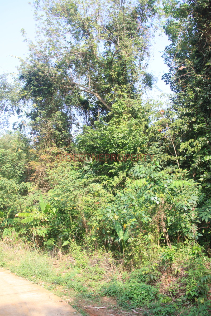 Massive Land in Center Island for Sale Koh Mak island