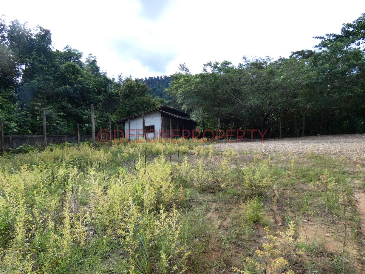 3 Rai Land for Sale South East, Koh Chang
