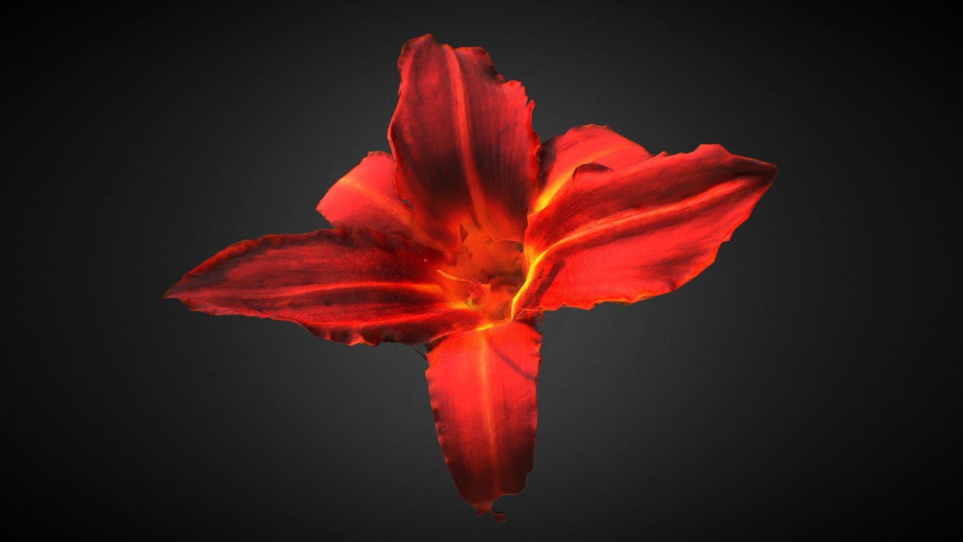 Flower Test deep3dsea