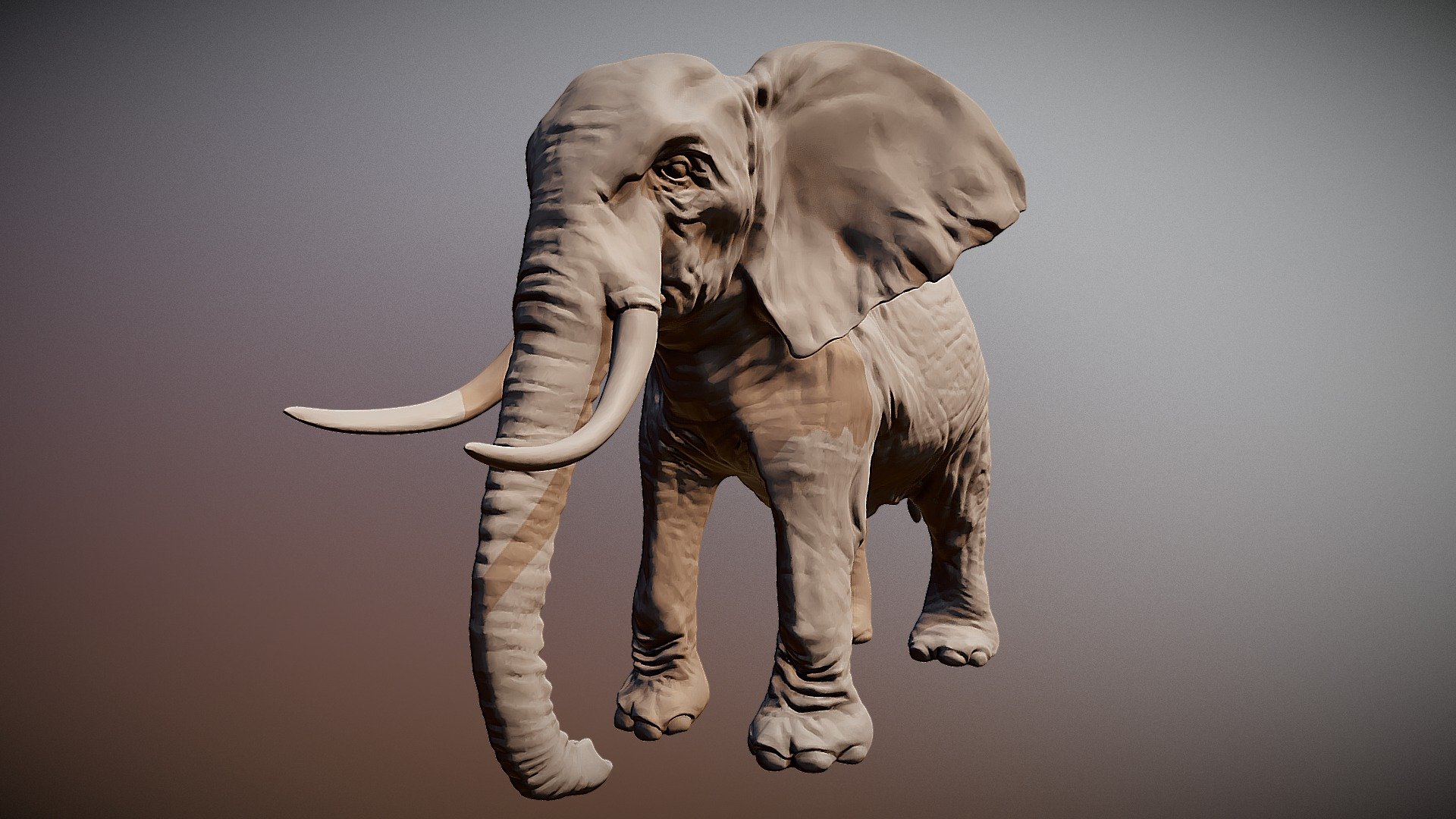 Elephant 3d Printable - deep3dsea