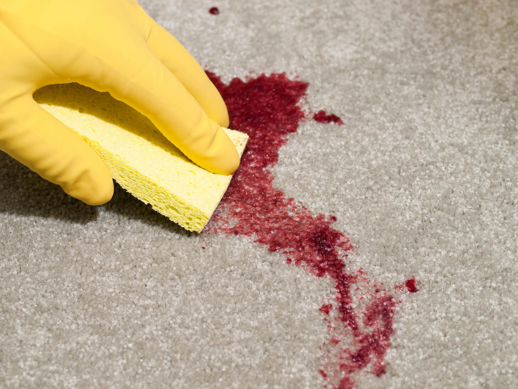 The Ultimate Guide to Removing Blood Stains from Your Sofa Everclean
