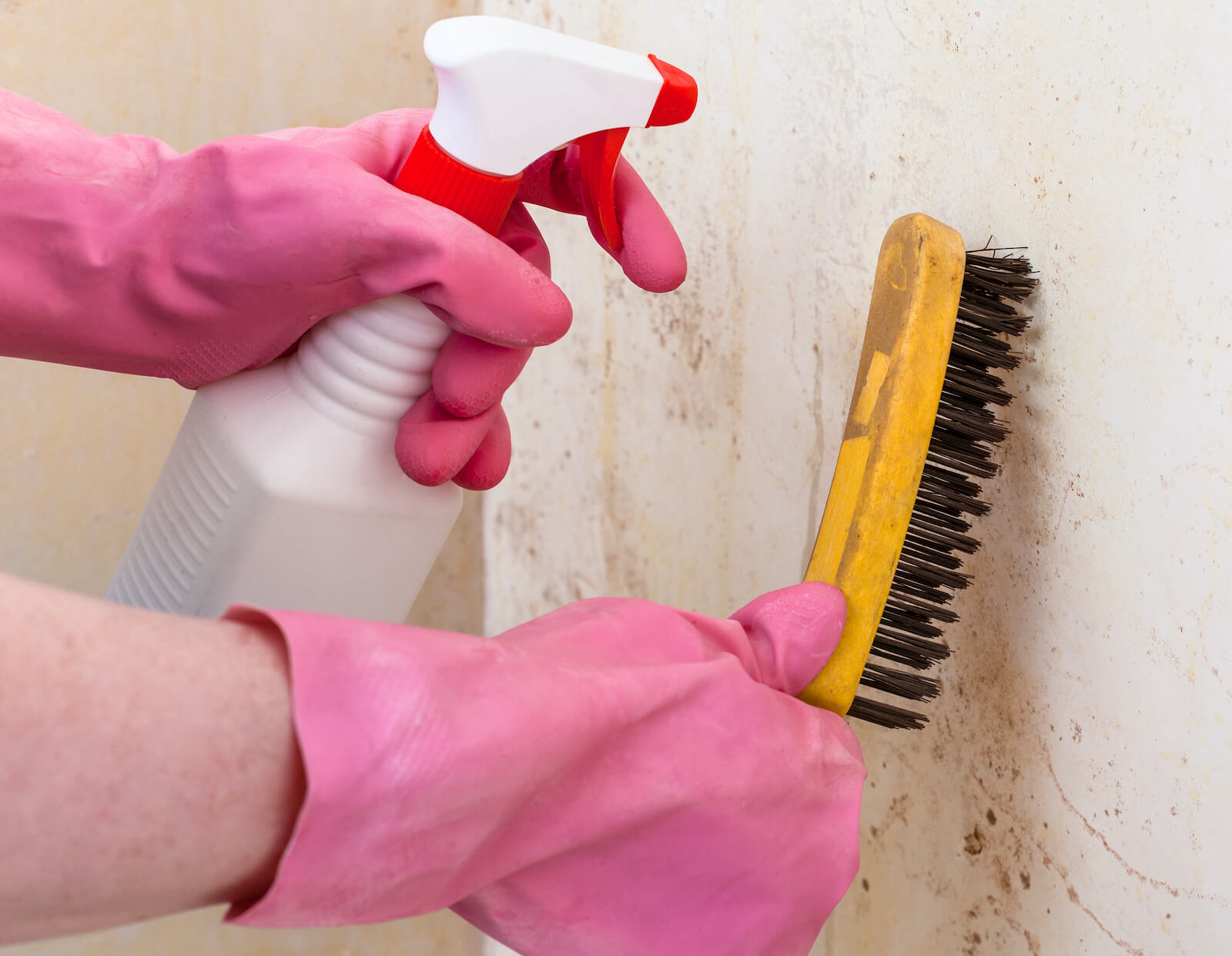How to Remove Mould from the Walls Everclean