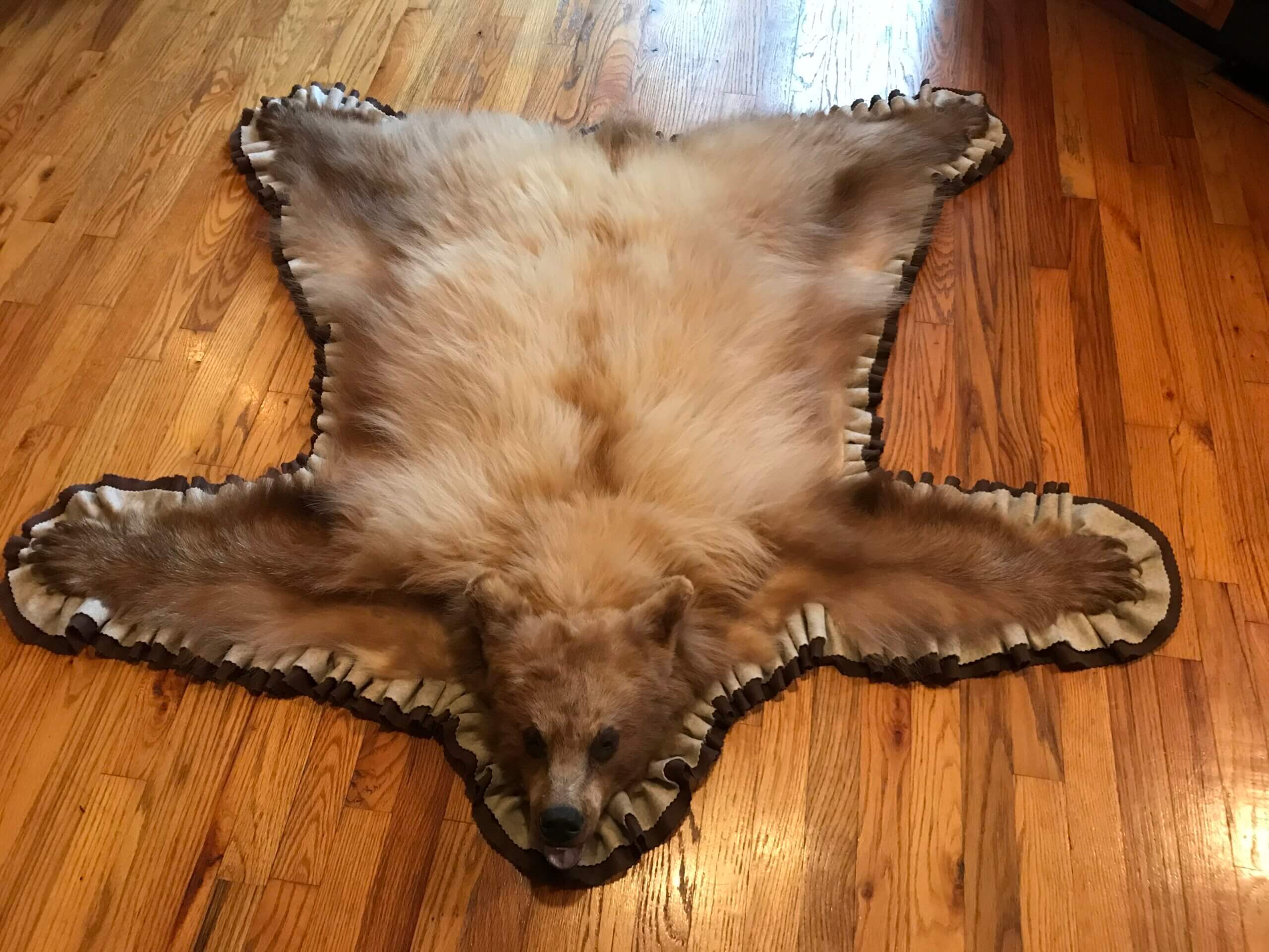Blonde Bear Rug For Sale2 Deep Creek Times