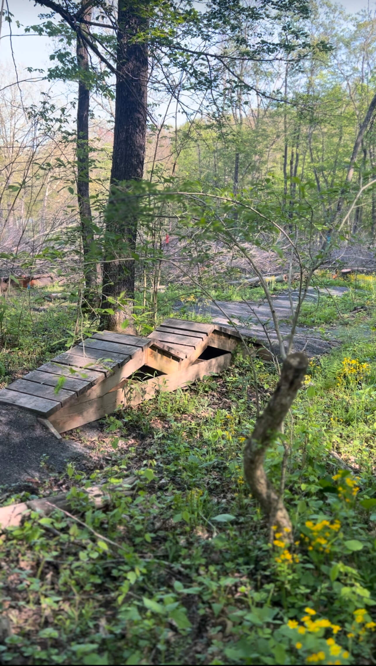 Broadford Park Springtime Trails Deep Creek Times