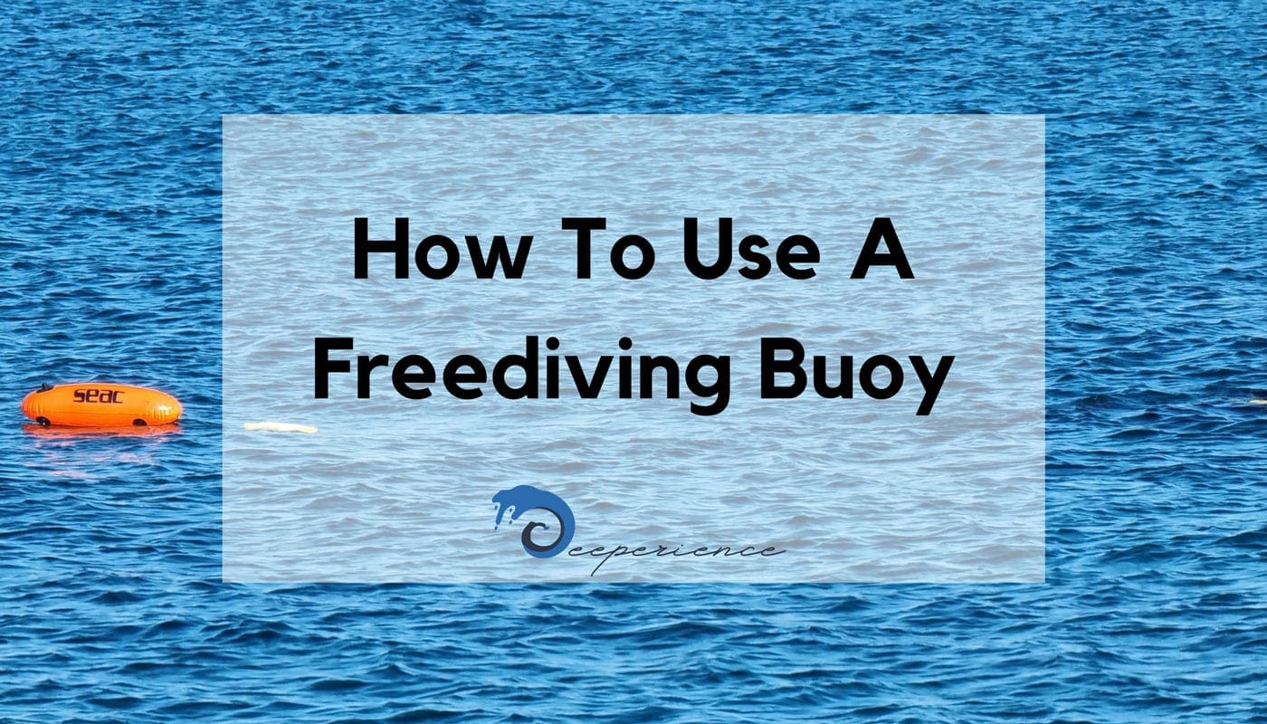 Freediving Equalization Why Is It Important?