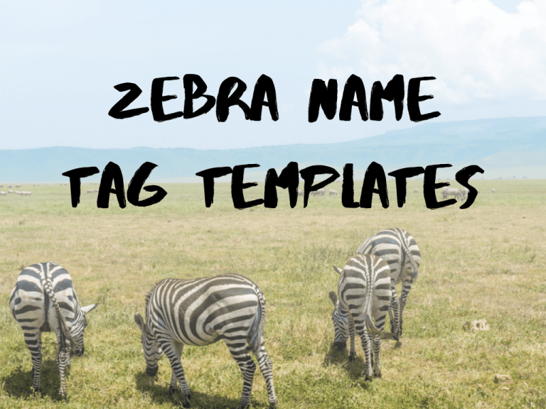 Zebra Name Tag Templates Deeper KidMin