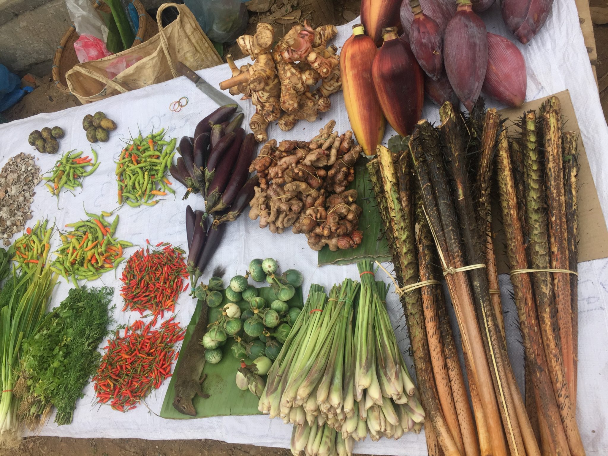Food and Farming in Laos Deep Harvest Farm