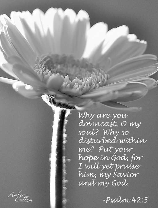 Works in the Bible are like daisies. I’m revieing them today…