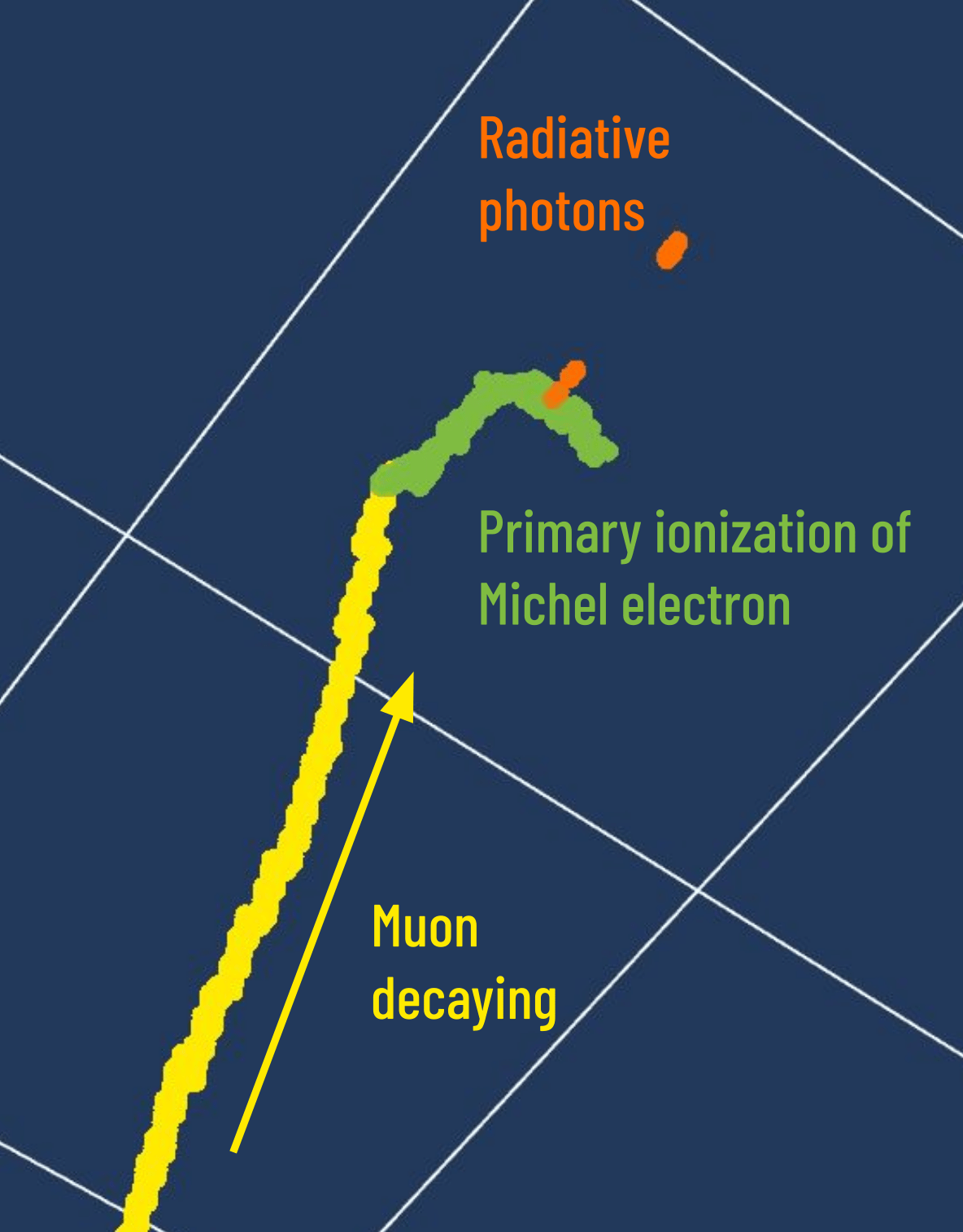 Exercise 1 Finding Michel electrons — lartpc_mlreco3d Tutorials