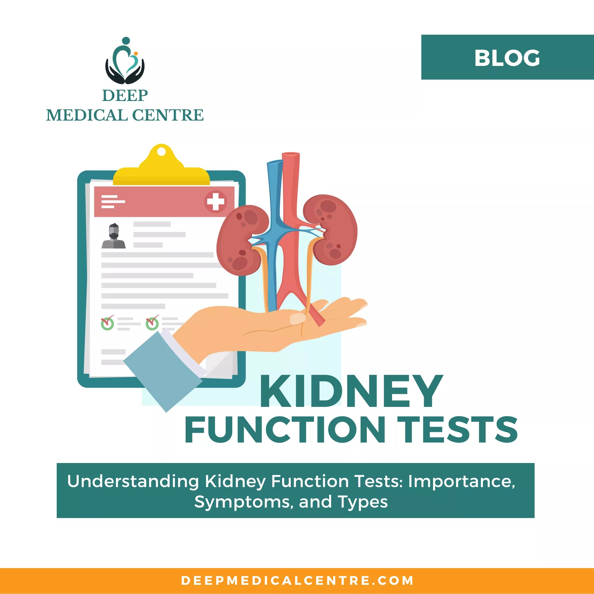 Understanding Kidney Function Tests Importance, Symptoms, And Types