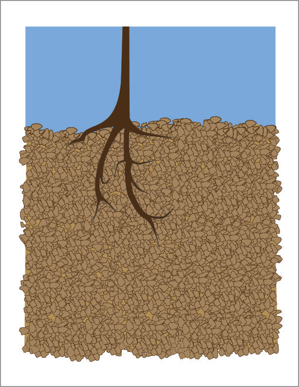 to the Deep Root Revolution Deep Root Irrigation