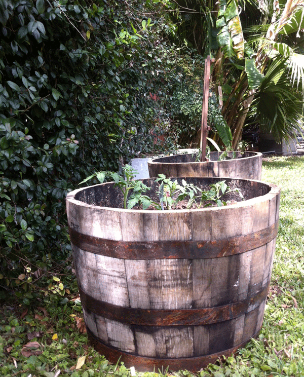Gardening With Jack Daniel's Deep South Magazine