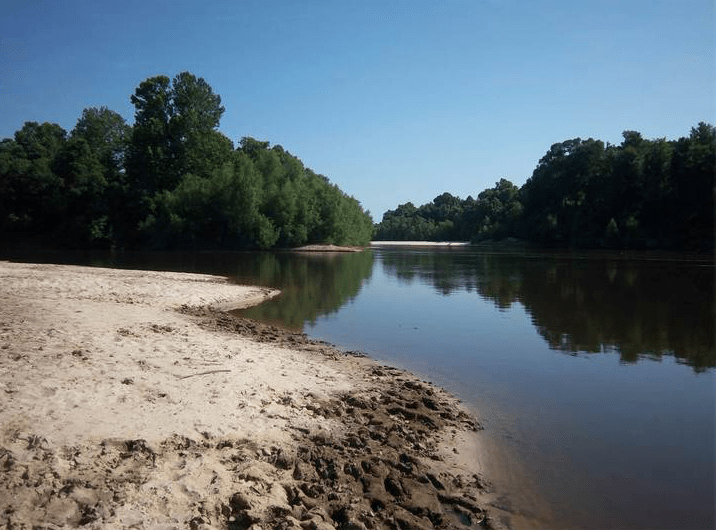 The "Real" Free State of Jones Deep South Magazine