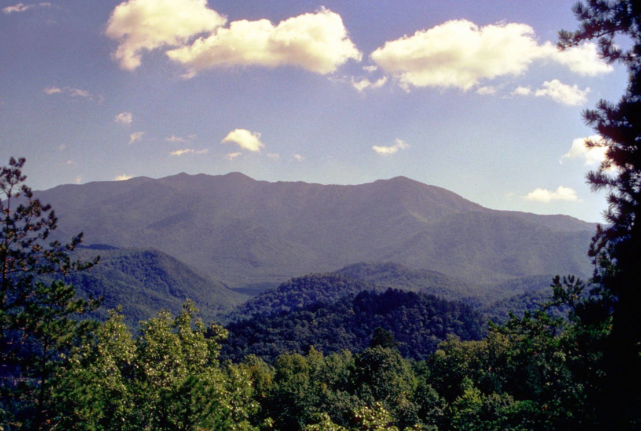 Townsend, Tennessee The "Quiet" Side of the Smokies Deep South Magazine