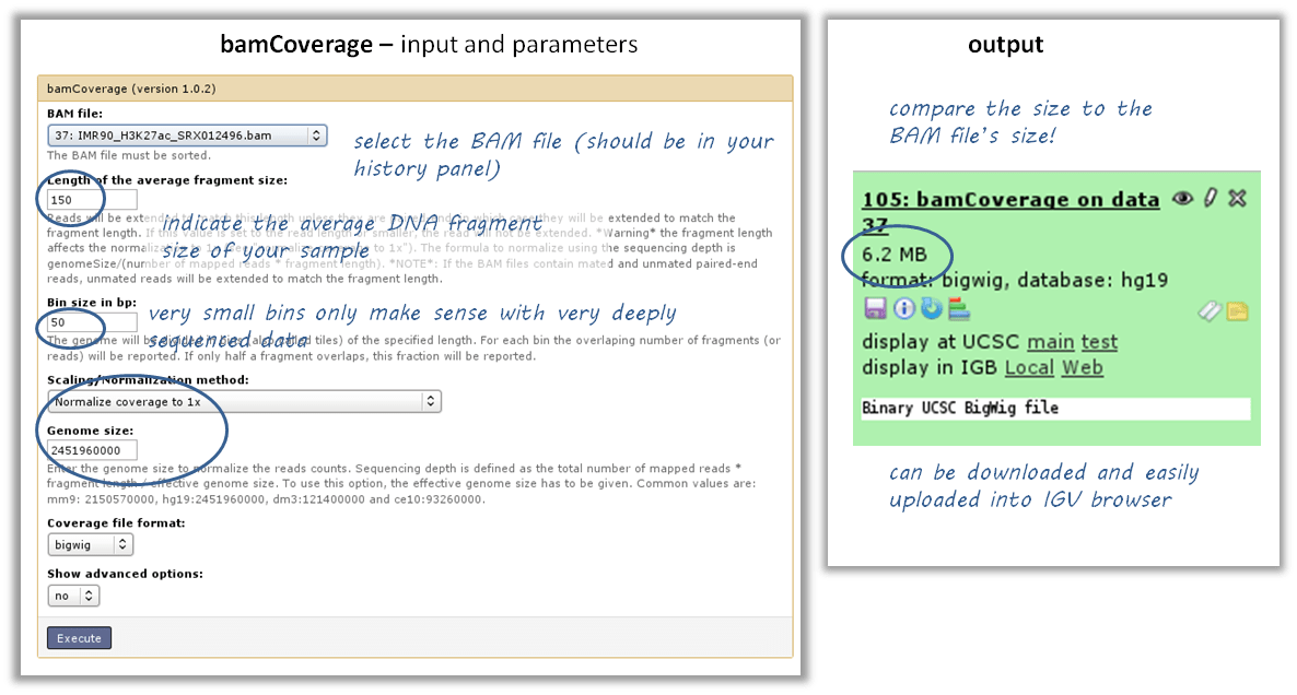 What is bam file format darelocraze