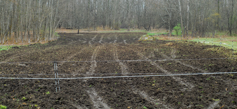 How to Protect your Food Plots with an Electric Fence