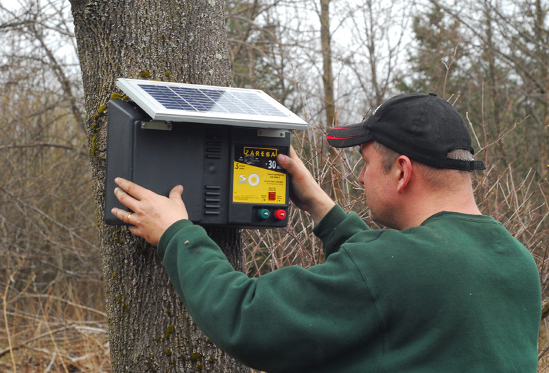 How to Protect your Food Plots with an Electric Fence