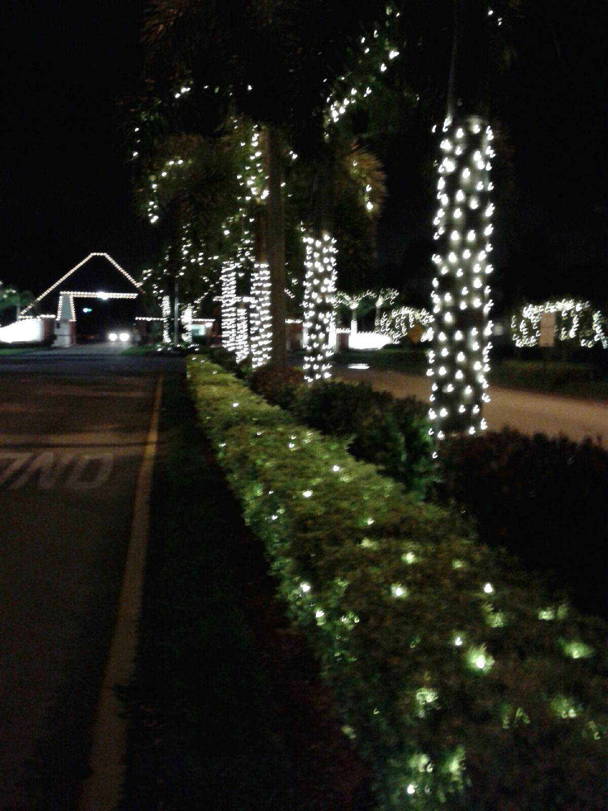 Deerfield Beach Lights Up for Christmas! Deerfield News