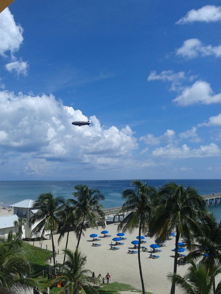 Deerfield Beach Restaurant Inspection Reports Asian Buffet Disappoints