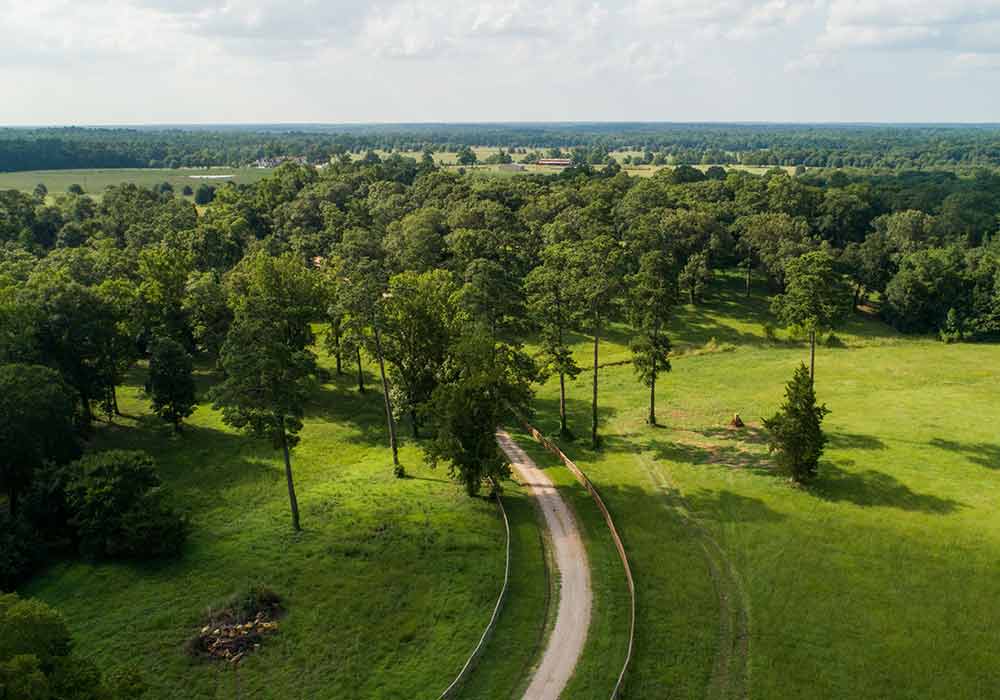 Deer Forest Acreage Community Beautiful 1+ Acre Estate Sized Homesites