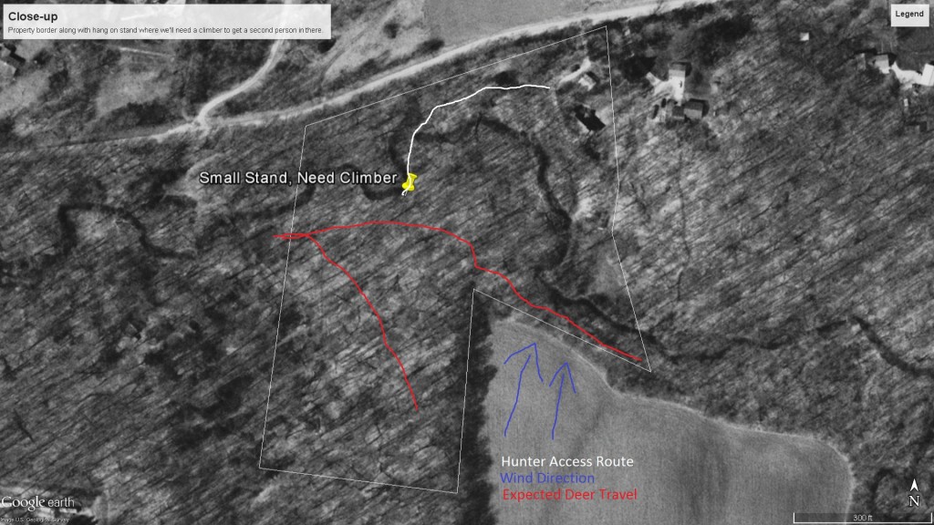 Tree Stand Placement Where to Put Them Deer Hunter Tips