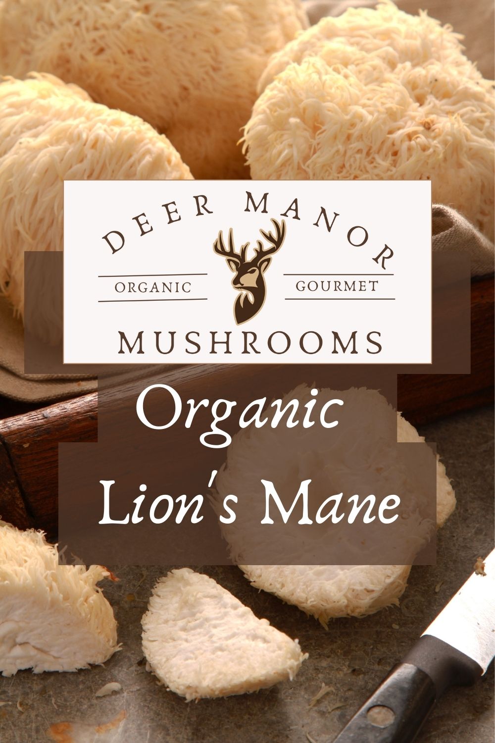 Organic Lion’s Mane Deer Manor Gourmet Mushrooms