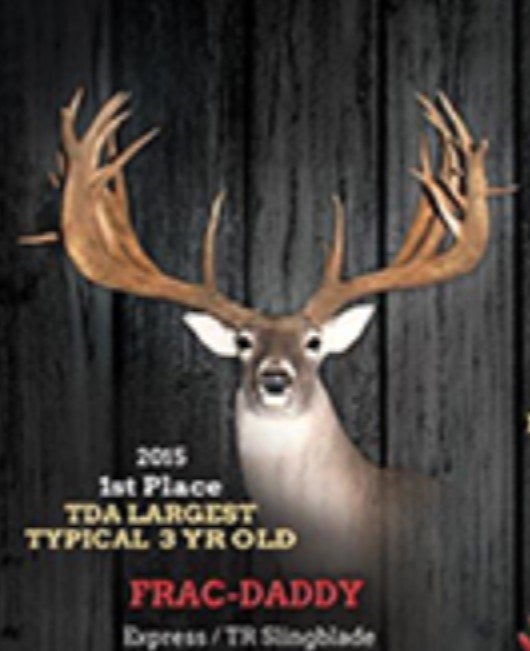Whitetail Deer Breeders in Louisiana Doe Deer Ridge Whitetails