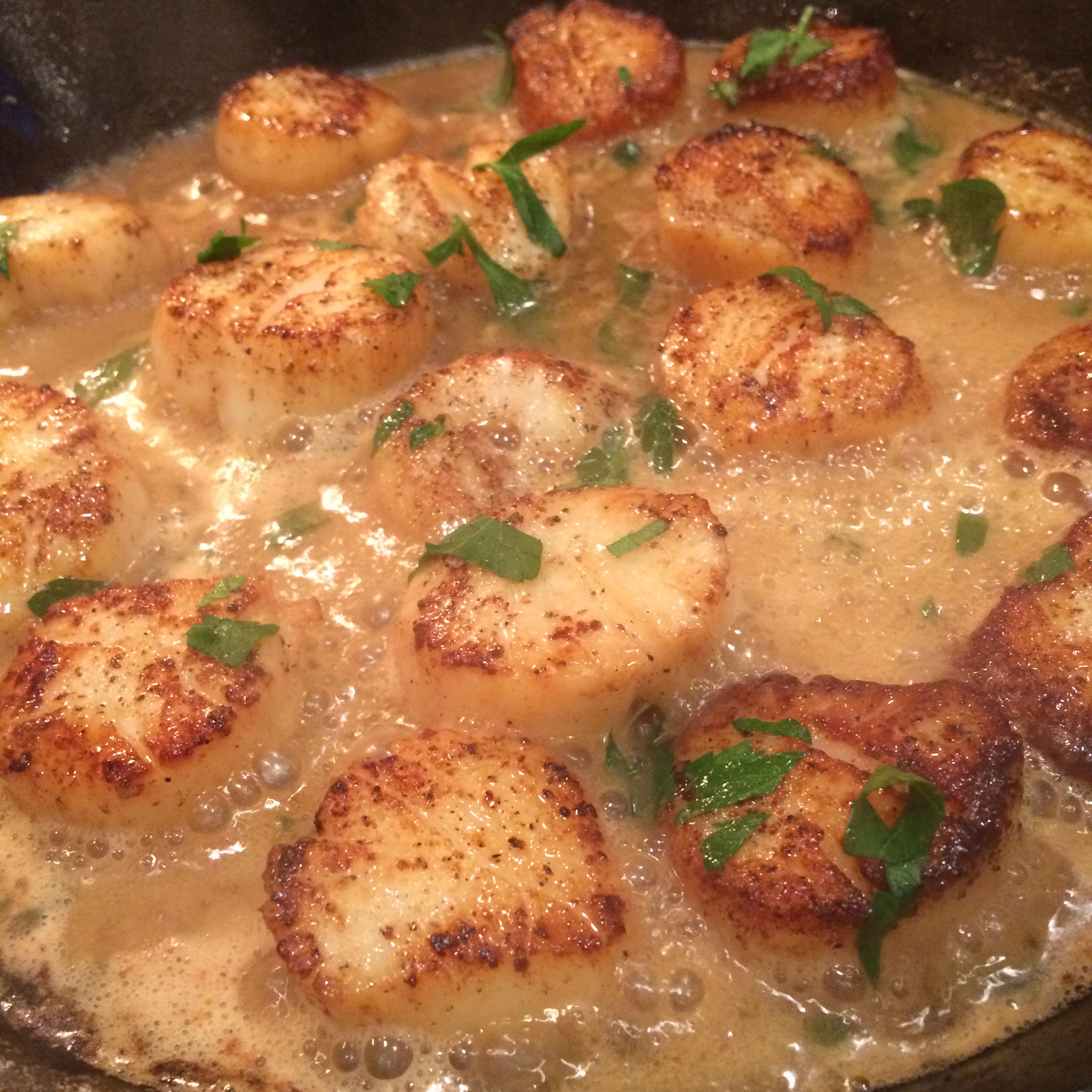 Scallops with White Wine
