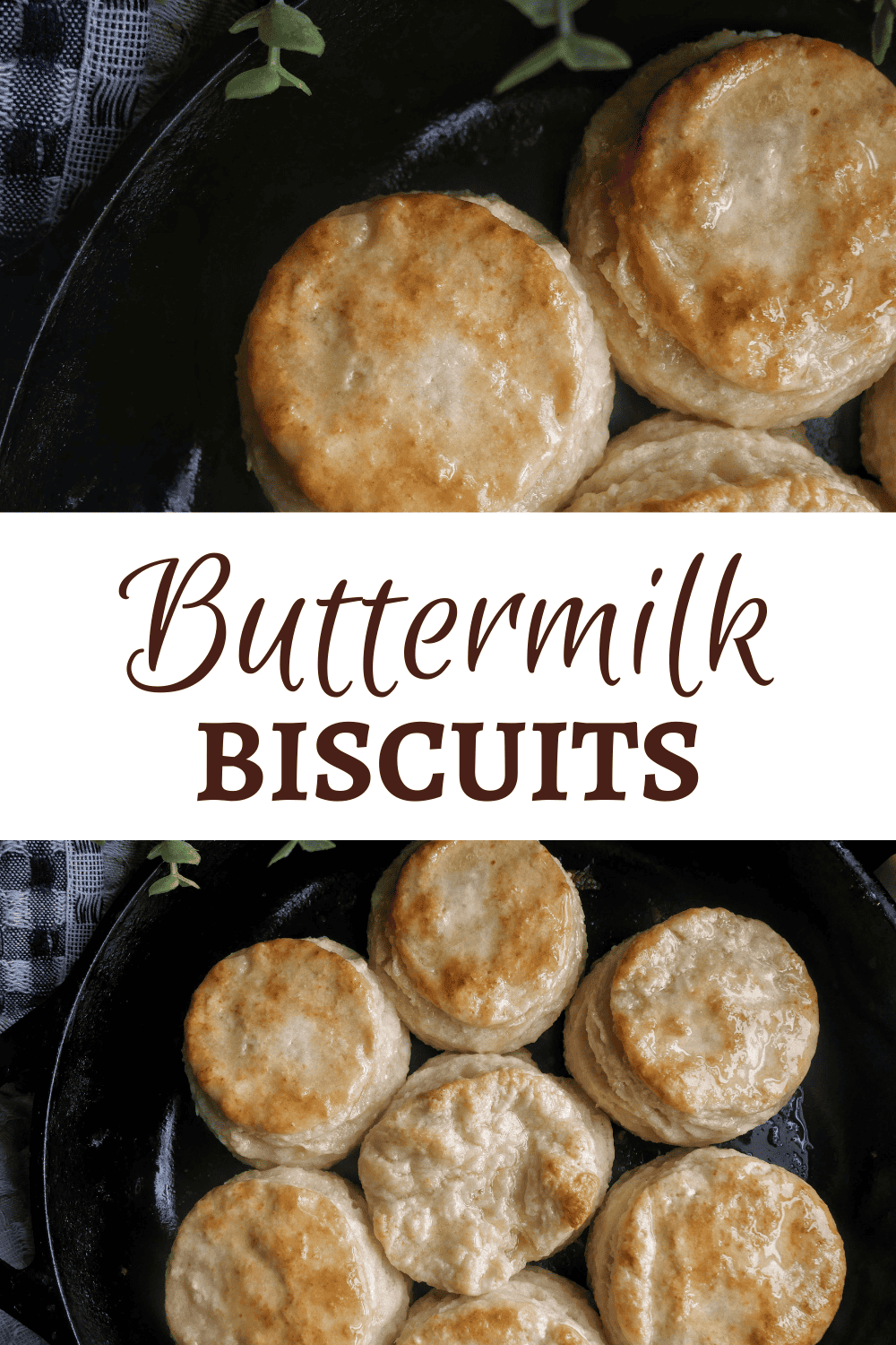 The Best Buttermilk Biscuits Dee's Little Kitchn