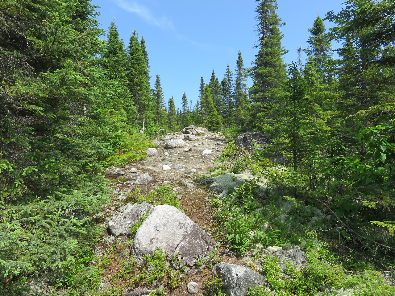 Mont du Lac à l'Empêche Mont du Four DėesseArtėmis