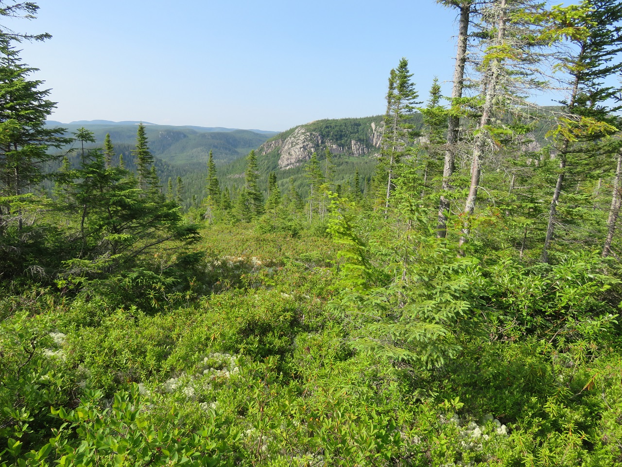 Mont du Lac à l'Empêche Mont du Four DėesseArtėmis