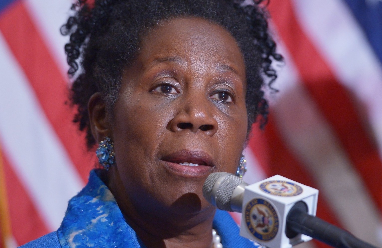 Sheila Jackson Lee appointed to Democratic leadership position