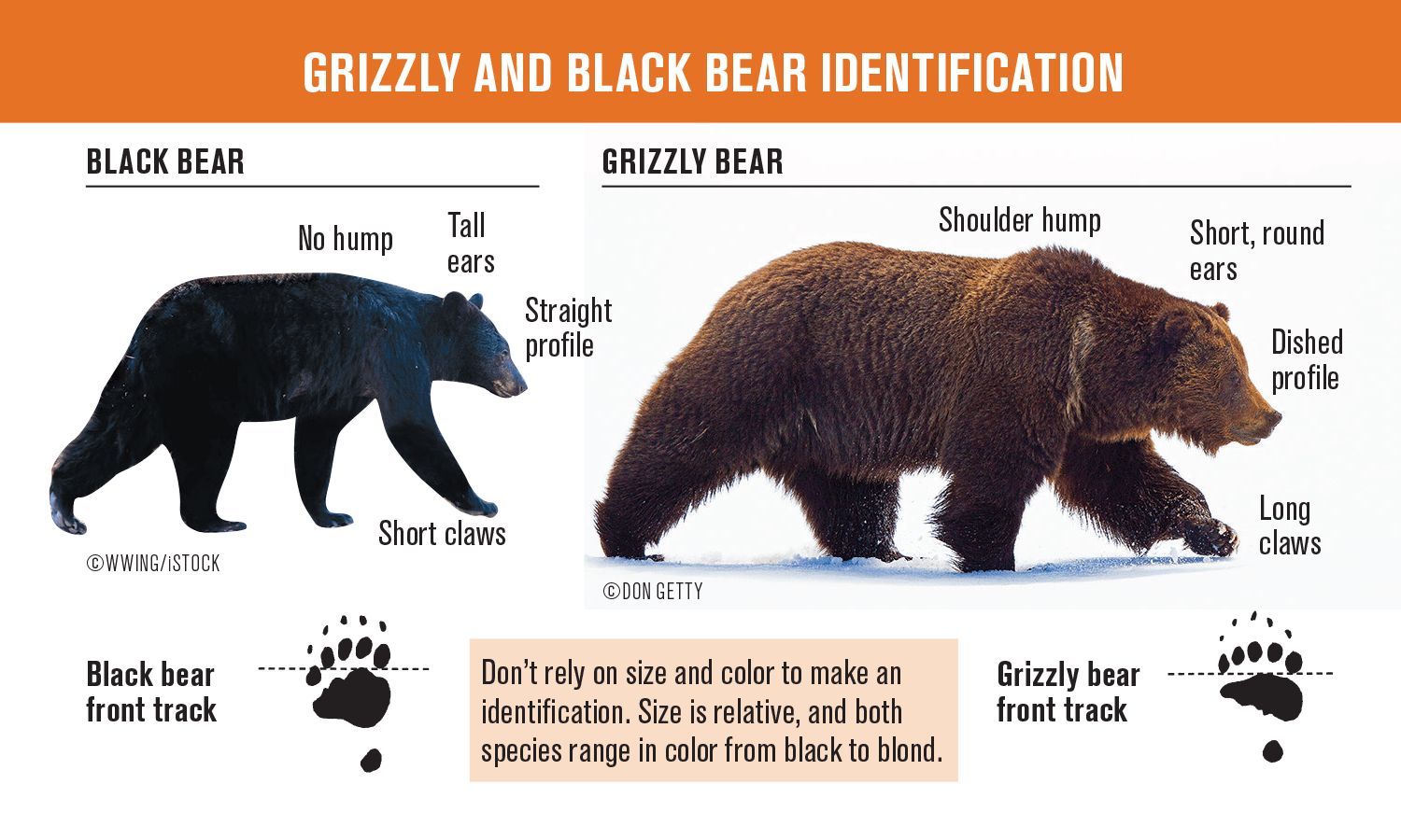 Play Smart! Defenders of Wildlife