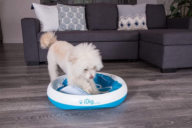 The iDig Dog Digging Toy Define Awesome