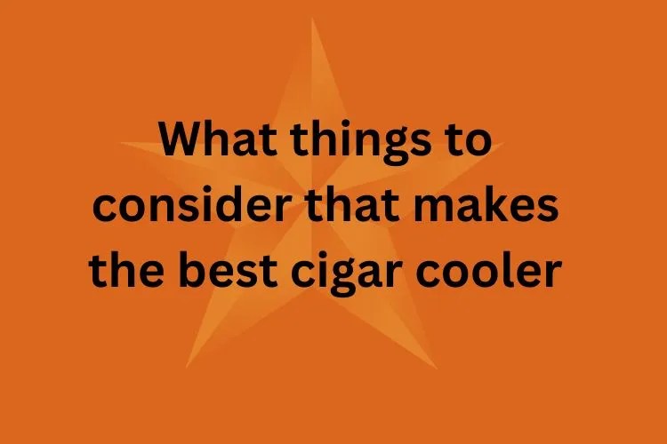 What Things To Consider That Makes The Best Cigar Cooler?