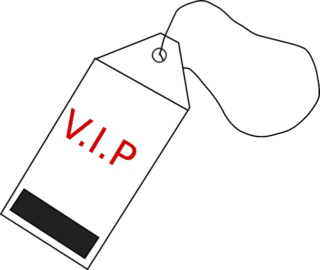 Qué Significa VIP? El Mundo De Las Respuestas, 42 OFF