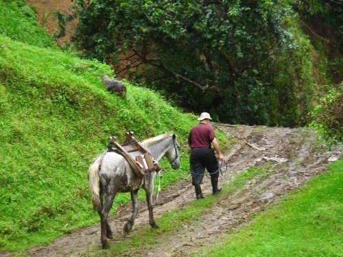 Definición de Espacio rural » Concepto en Definición ABC