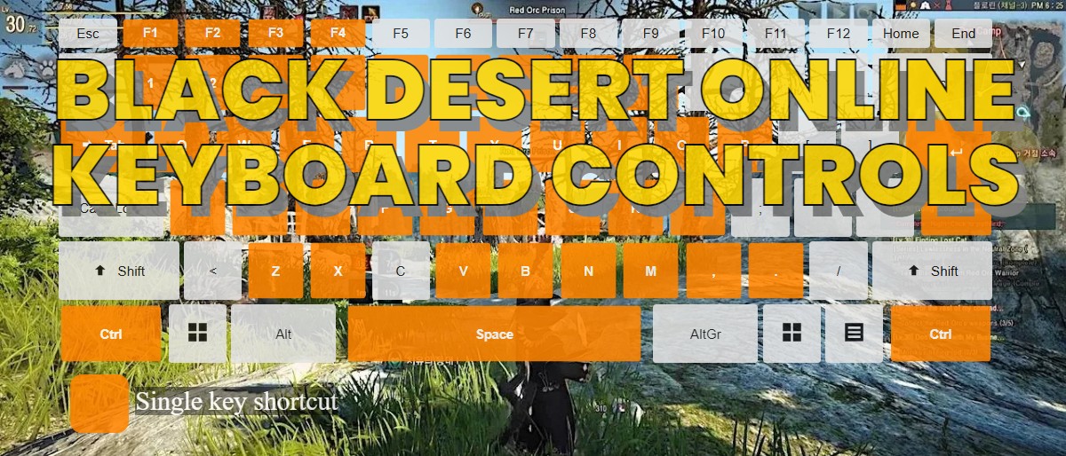 Black Desert Online keyboard controls ‒ DefKey