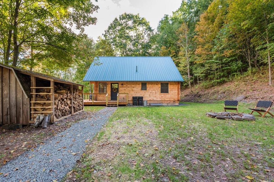 Eagle's Nest, Modern Log Cabin defve