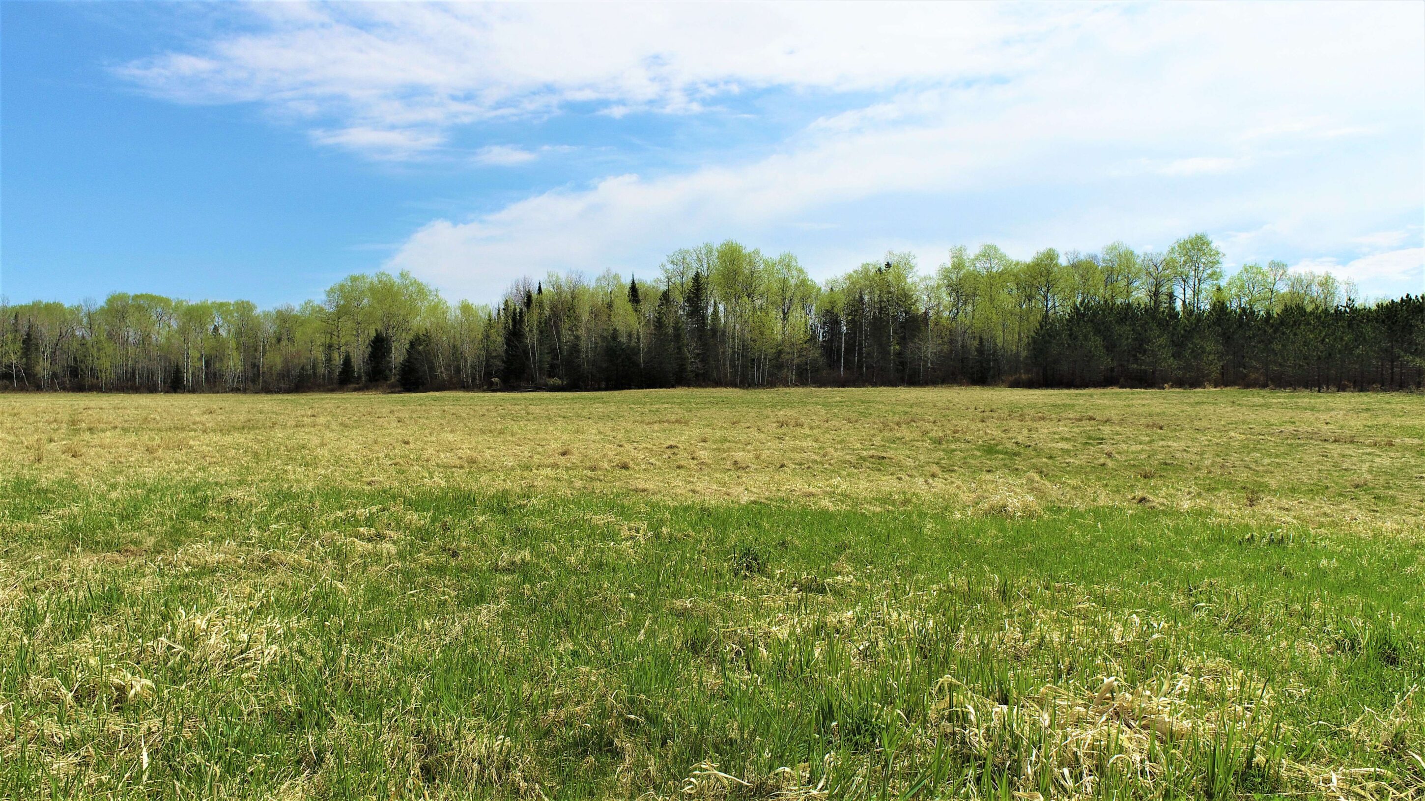 Centennial Crescent (Lot 15012) Degagne Carpentry