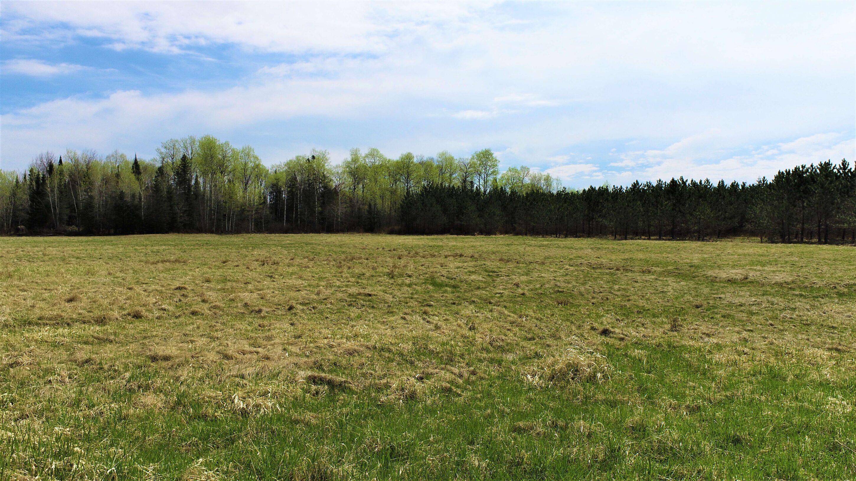 Centennial Crescent (Lot 15012) Degagne Carpentry