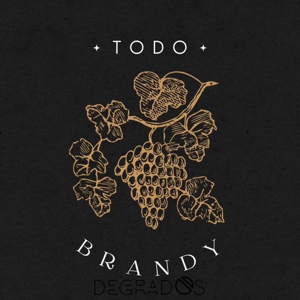 Brandy Origin, elaboration and varieties Liquorería online