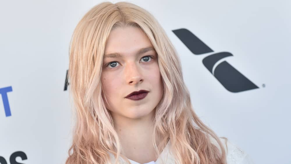 HBO To Premiere Second Bonus Episode of Euphoria In January 951 WAYV