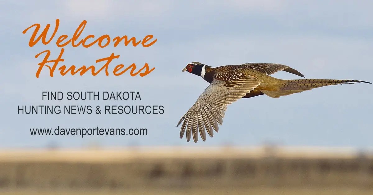 Find SD Pheasant Hunting News and Resources from Davenport Evans