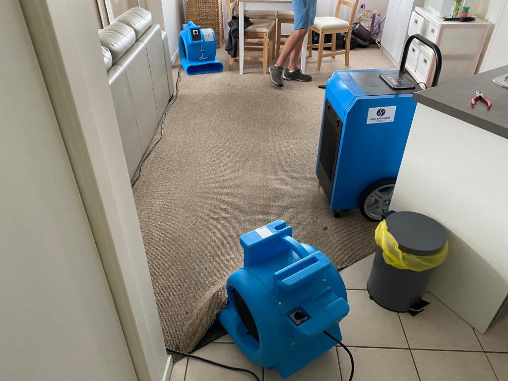 Dehumidifier Australia