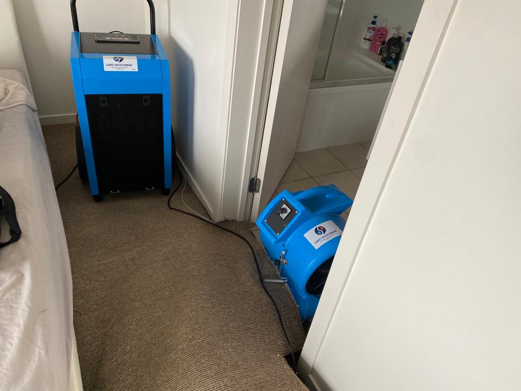 Gallery Dehumidifier